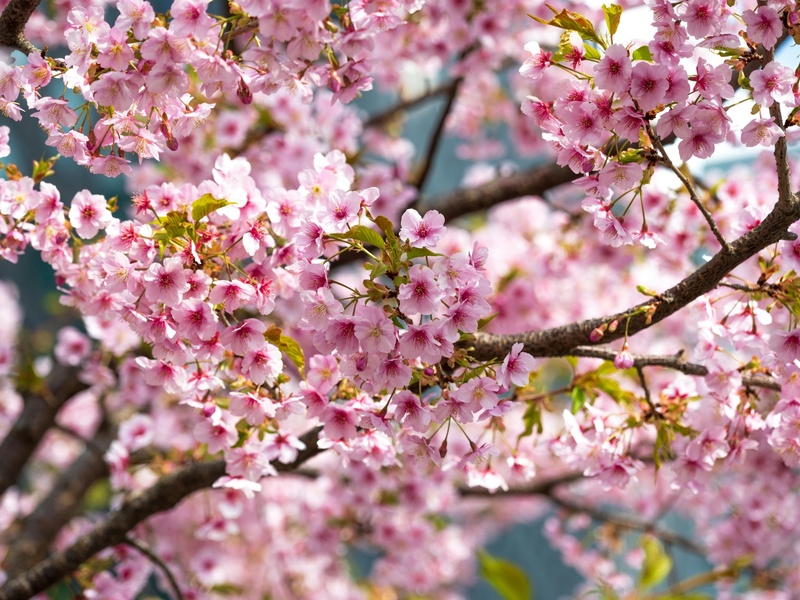 Весняний вікенд у Львові